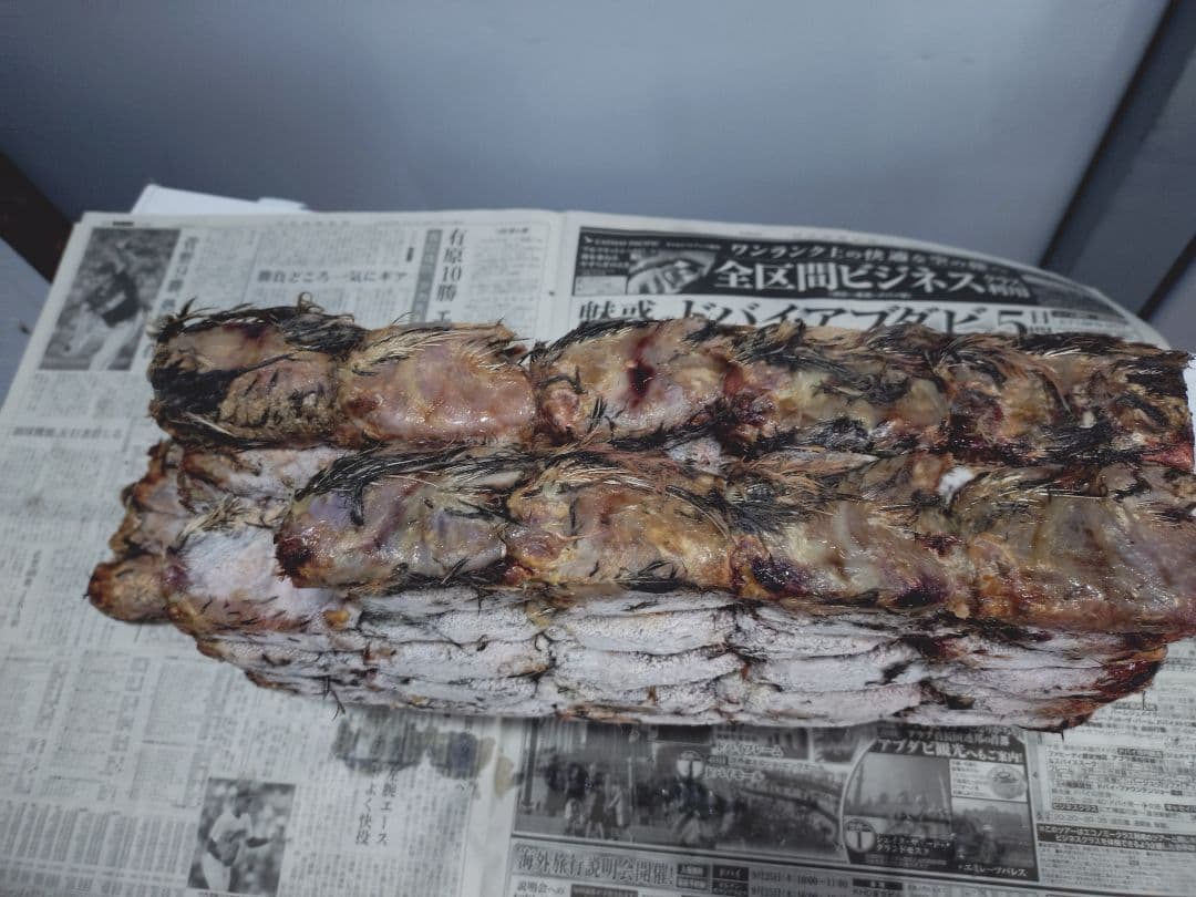 送料無料　訳あり冷凍処理済み親ウズラ200羽 ピンクS10匹冷凍コオロギサービス