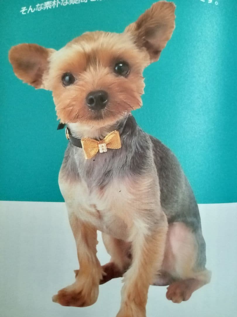 りえ様確認用です