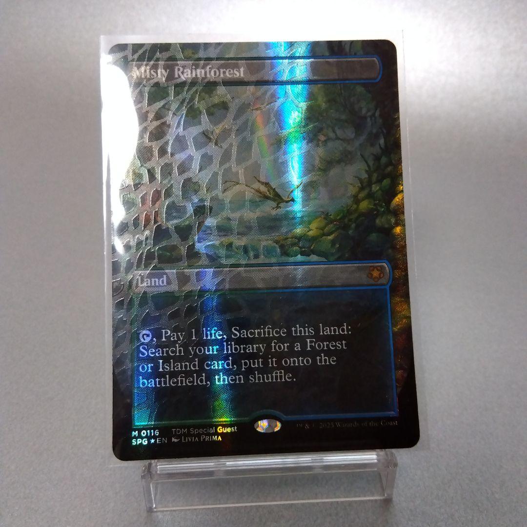 霧深い雨林 英語版 ドラゴンスケイル・Foil MTG 霧深い雨林 日本語版