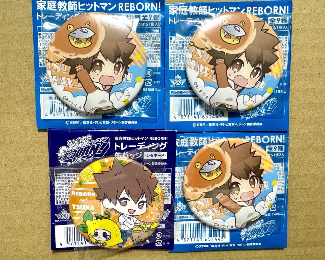 沢田綱吉&リボーン 家庭教師ヒットマンREBORN! おまけ缶バッ