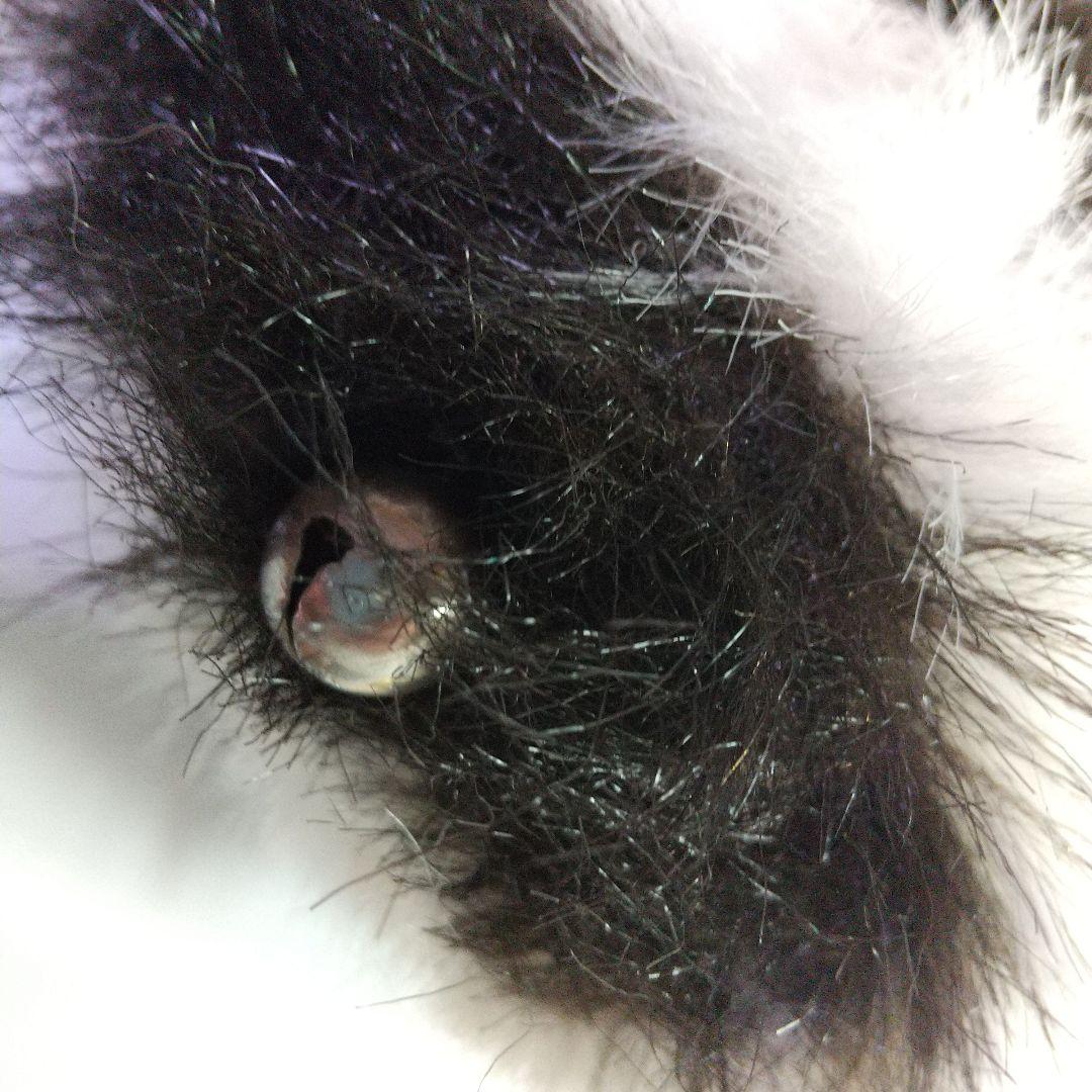 ジョイフルメイト TAKENOK 超特大 アライグマ ぬいぐるみ 白 レトロ