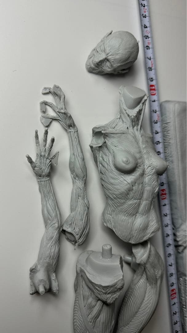 「ヘルレイザー２」ジュリア　ポールコモダ　WFレジンキット怪物屋