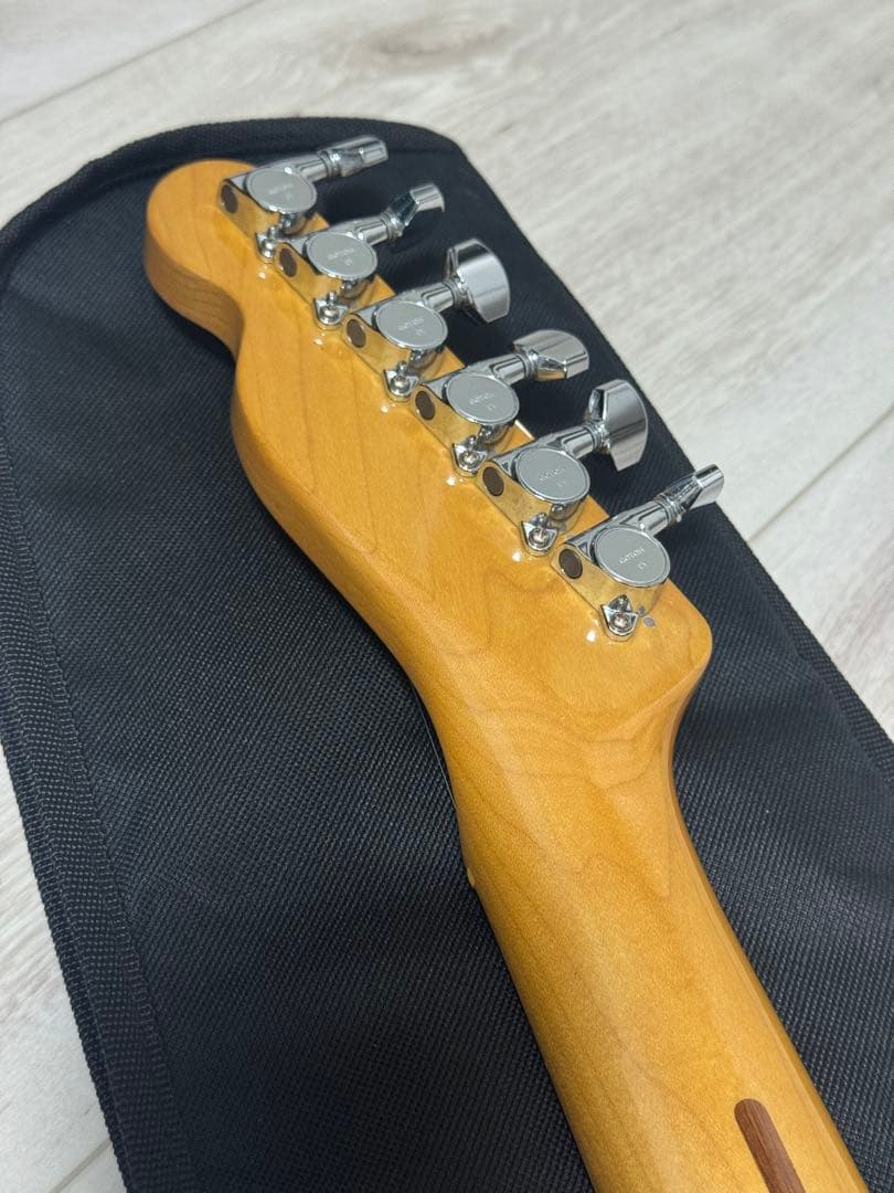 【中古】TN-SPL Telecaster Thinline (Natural)