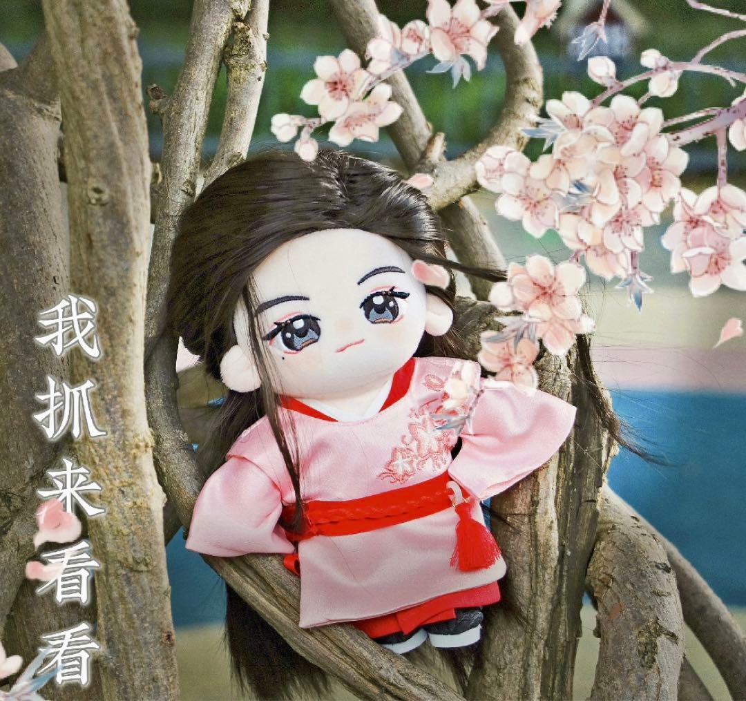 20cm 山河令 ぬいぐるみペア 温客行 龔俊 周子舒 張哲瀚 288 - メルカリ