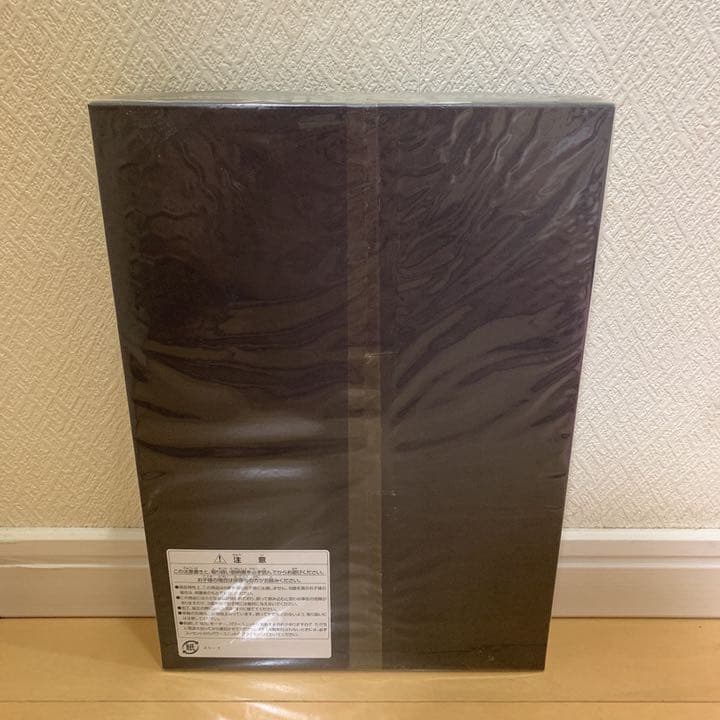 【新品未開封】JR 485系特急電車（雷鳥・クロ481-2300）基本セットB