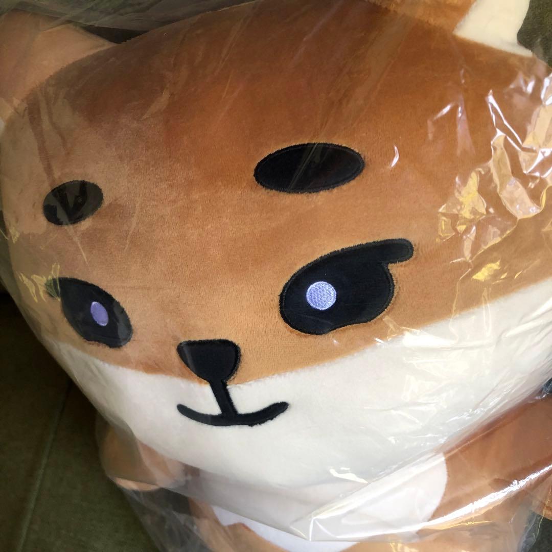 day6 denimalz ぬいぐるみジャイアントver. トレカKE ヨンケイ - メルカリ