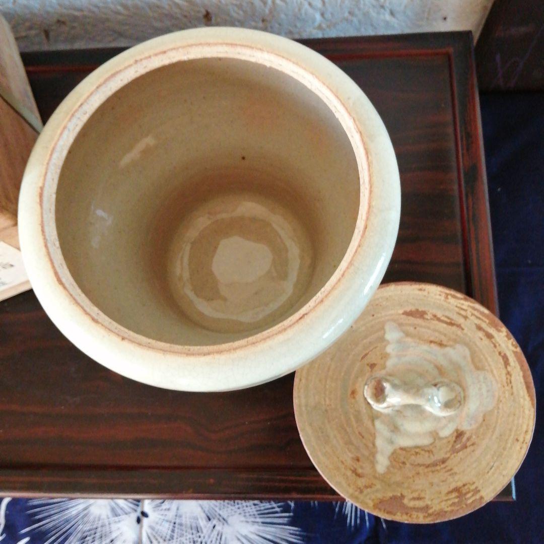 赤膚山焼　松田正柏　末広形水指　17.5cm　堀内宗完箱書