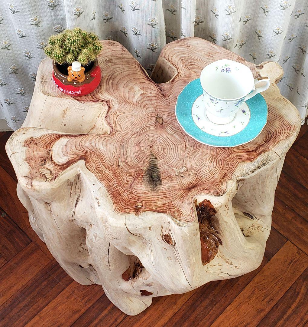 貝塚伊吹希少サイズ丸太