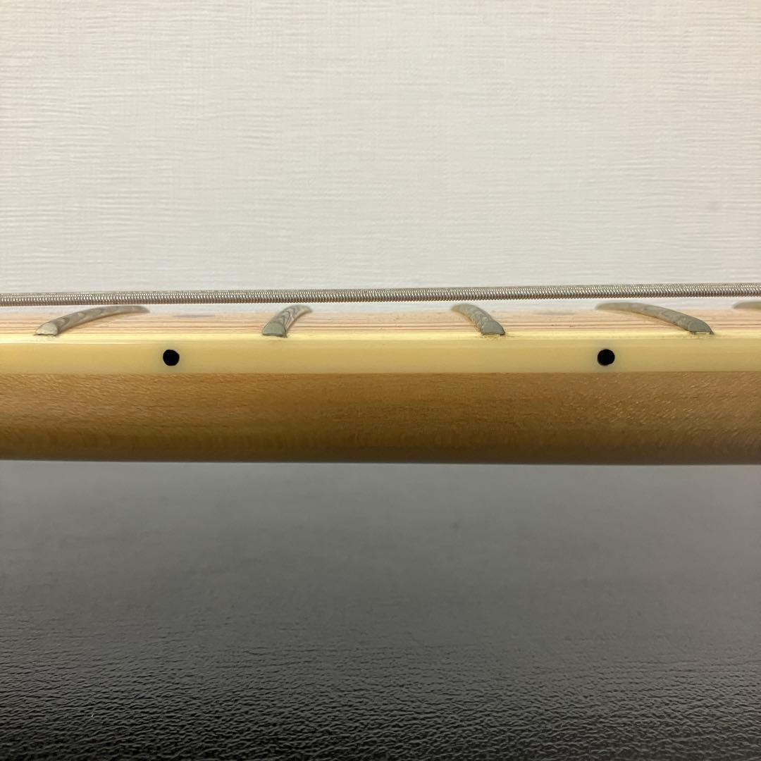 ソフトケース付き　SX テレキャス シンライン