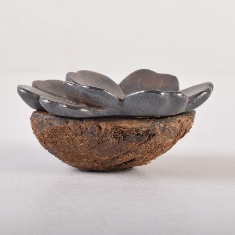 茶道具　木彫　桜　内金溜　香合　時代箱　V　8355