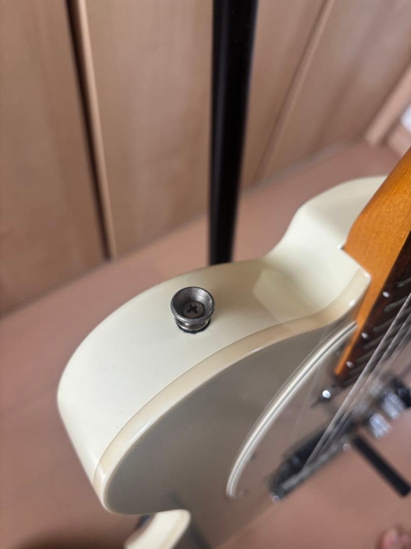 LaidBack テレキャスター エレキギター LTE-5R