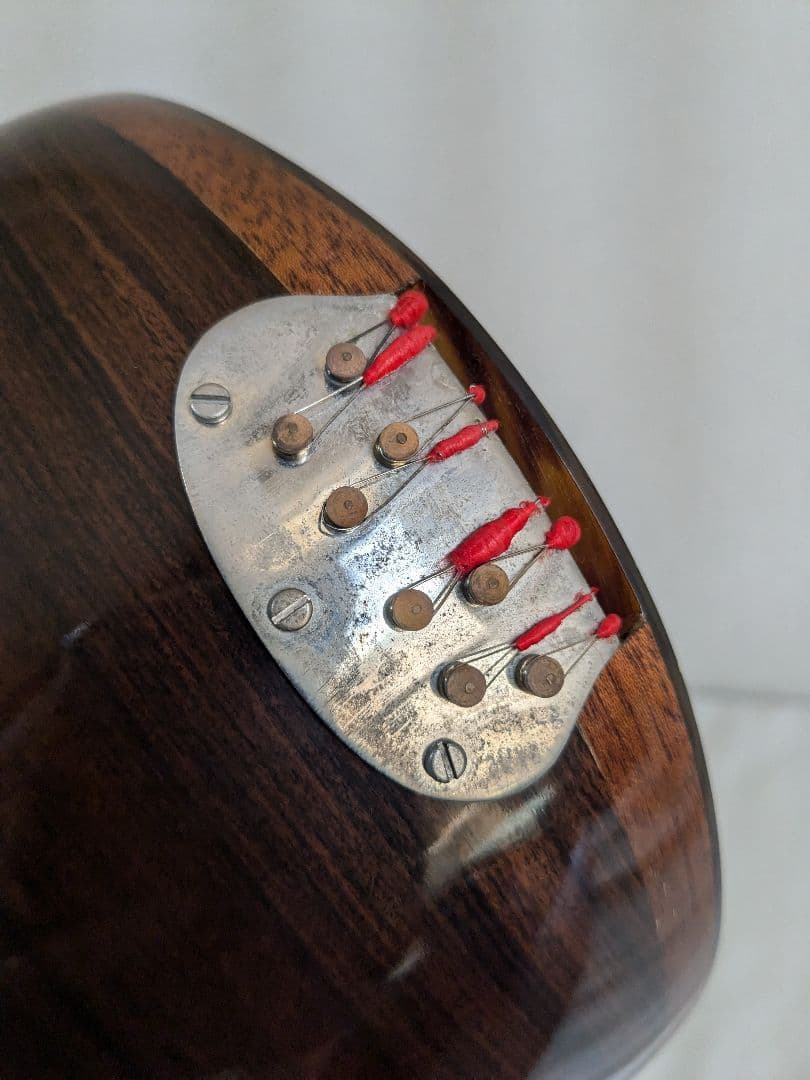 ラファエレ カラーチェ No.26 マンドリン SuperLight ケース付き