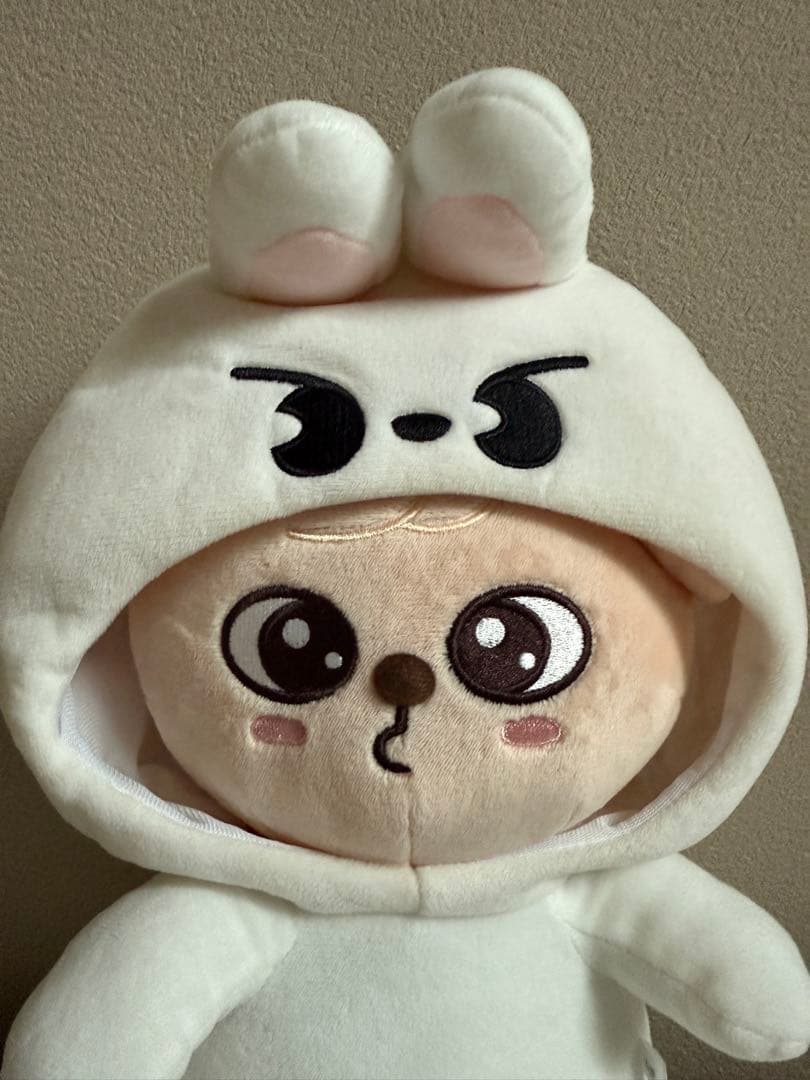 抱きぬいぐるみ PuppyM スンミン パピーム パピム SKZO straykids