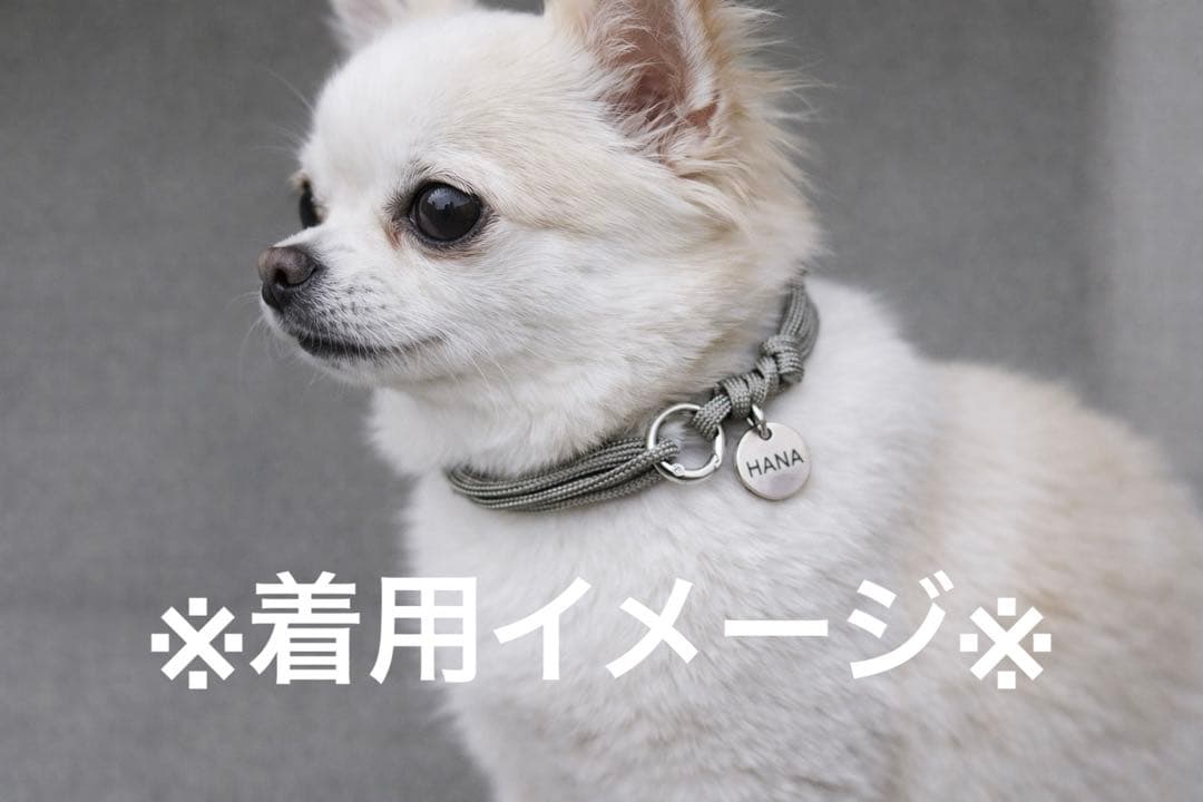 着用イメージ画像 yuki040600様♡ ✮ ɐ ʎ ɐ ✮🧄𝕄ℂ𝟙𝟟🫶🏻ℤ𝕏-𝟟ℝ ᐕ)ﾉ