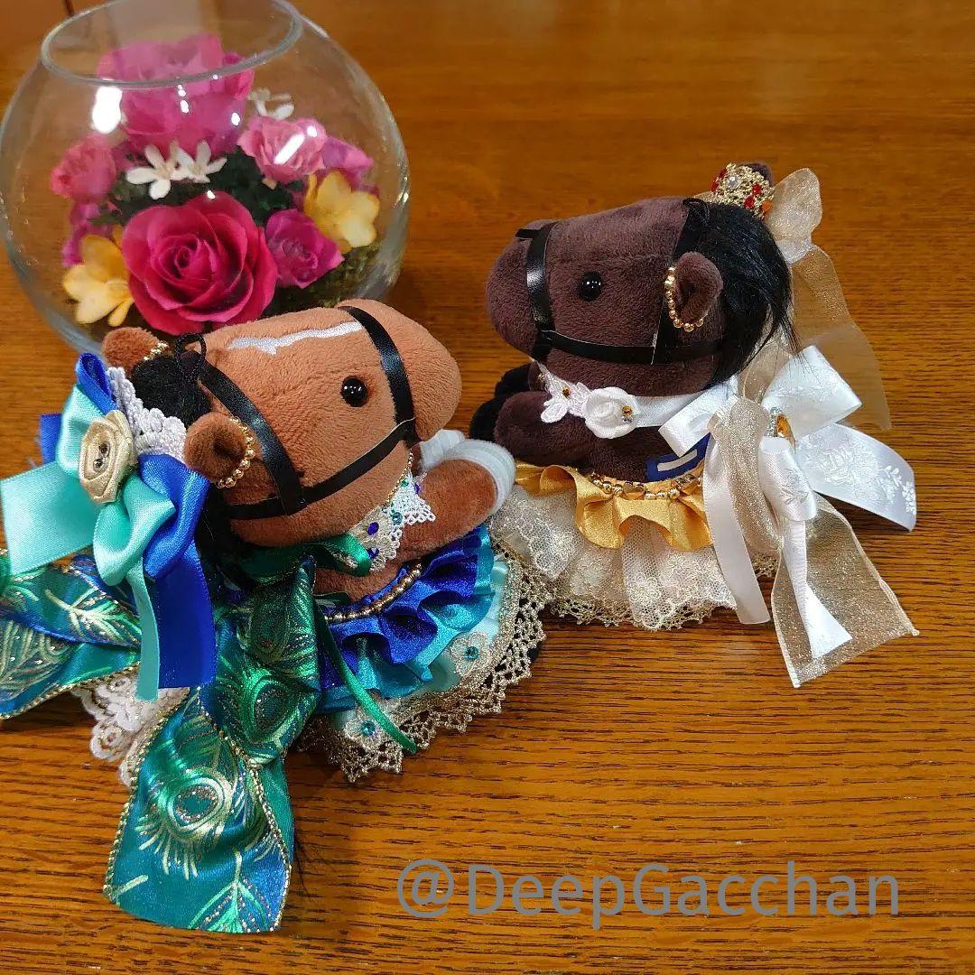 メイケイエール スタニングローズ アイドルホースドレス Sサイズ