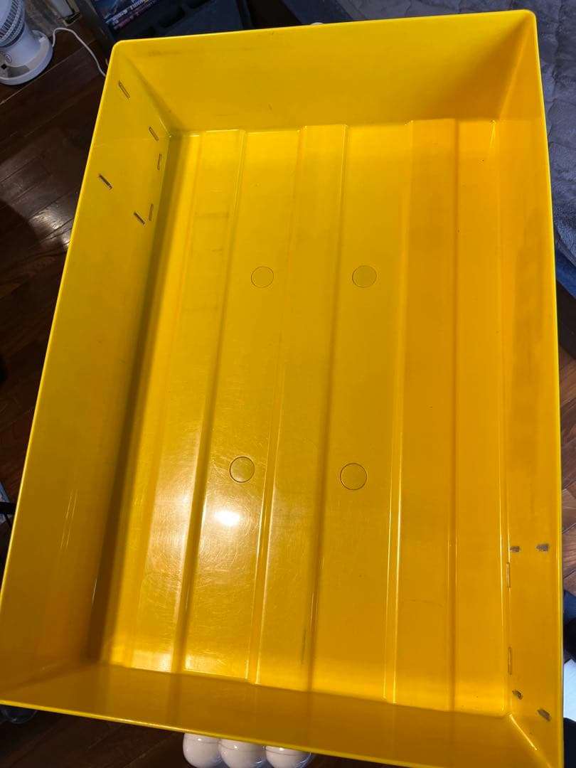 m&m's 特大ディスプレイ レッド 非売品 美品 エムアンドエムズ