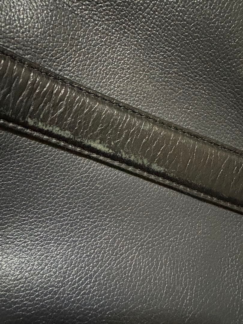 COACH 黒 レザービジネスメンズバッグ +本革バック