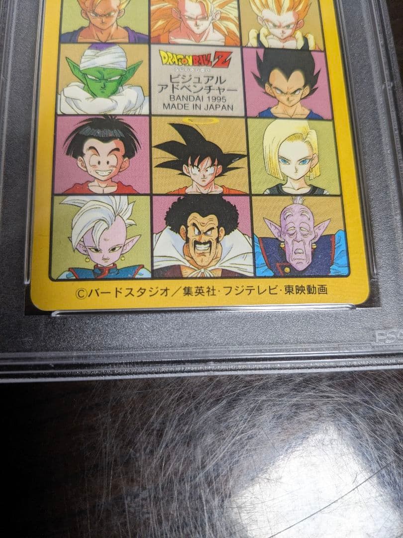 【psa9】ドラゴンボールカードダス　ビジュアルアドベンチャー　253