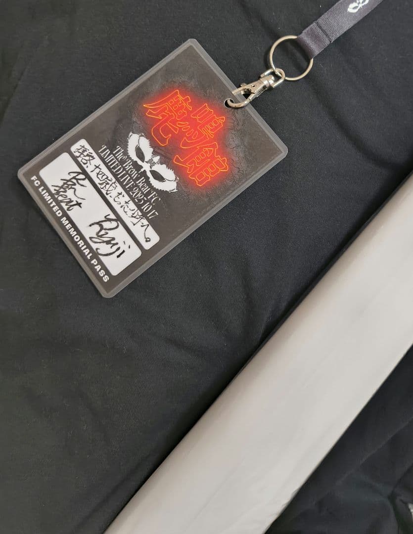 Hi-STANDARD 劇場用非売品ポスター 2025年最新】ハイスタ ポスターの