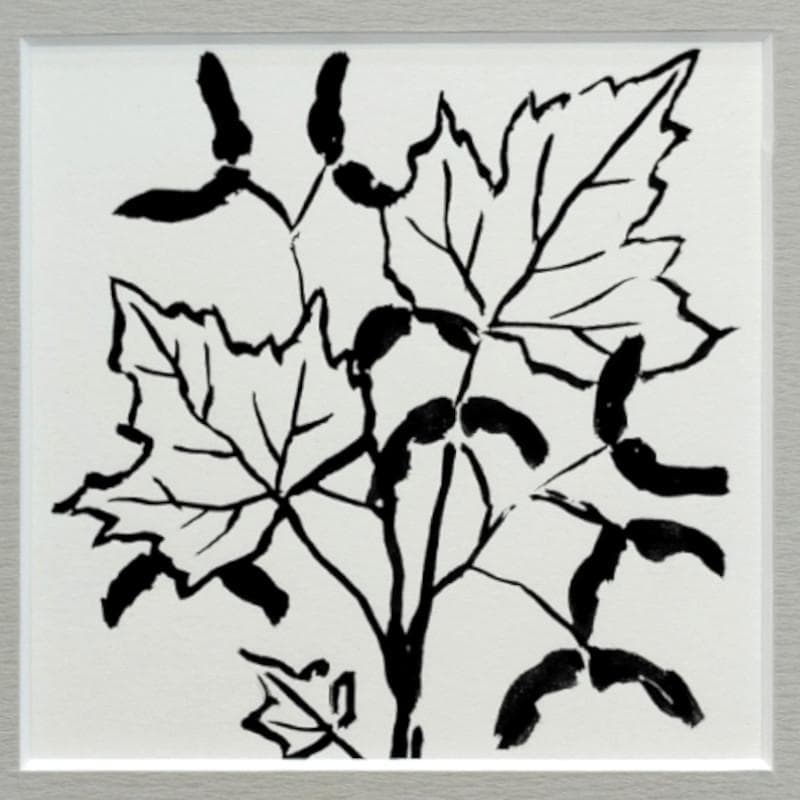 ☆坂本直行☆「カエデ」筆書き　八ツサイズ　未使用！