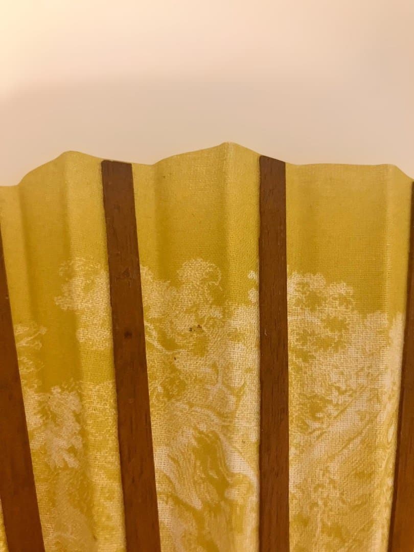 新品・未使用】CHRISTIAN DIOR萌黄色扇子 トワル ドゥ ジュイ - メルカリ