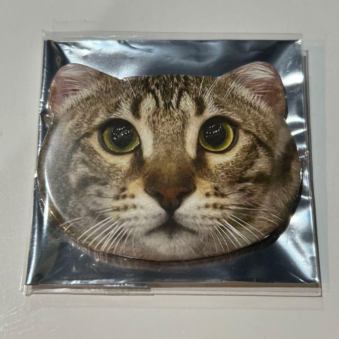 猫カフェmocha大宮アルシェ店 缶バッジ ルッチ - メルカリ