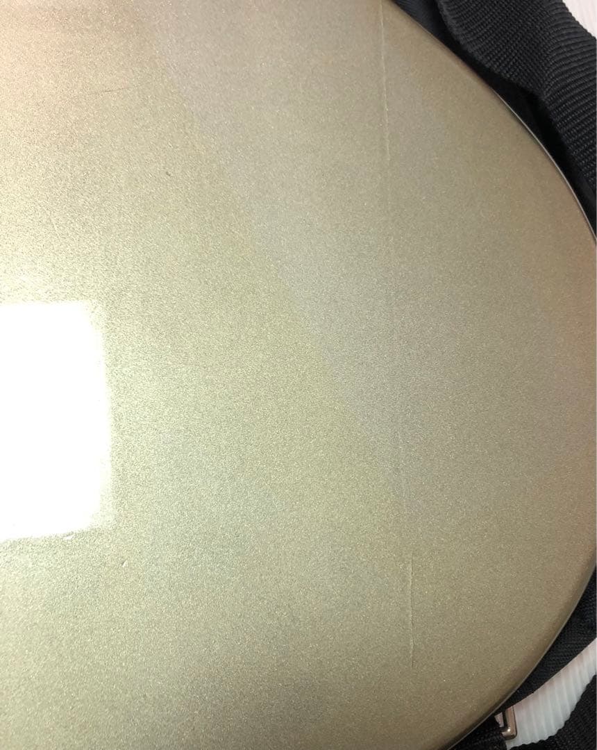 餅*読様 Burnyバーニーレスポールエレキギター　fernandesソフトケー