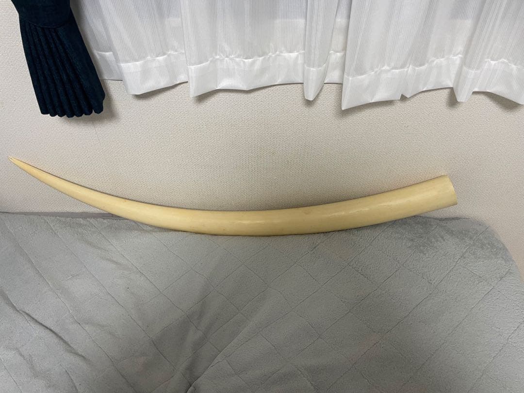 鈴*凱様 （超特大）象牙風レプリカ置物 レジン 練物