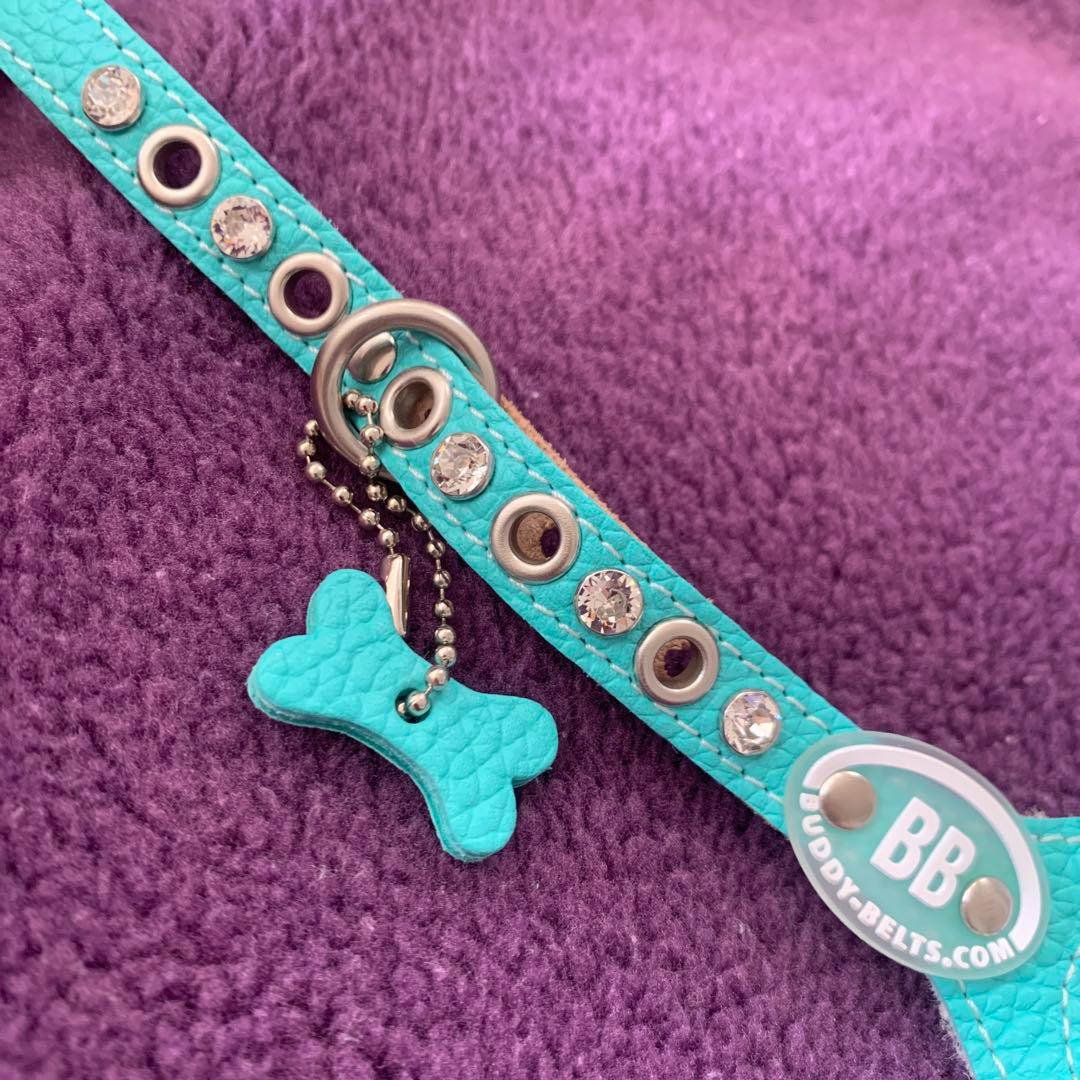 バディーベルト☆ハーネス2.5号☆ティファニーブルー スワロ付き☆2kg