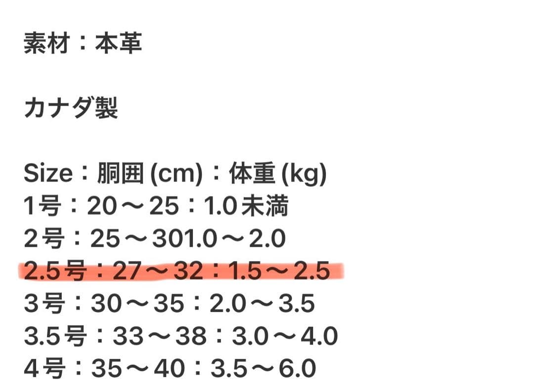 バディーベルト☆ハーネス2.5号☆ティファニーブルー スワロ付き☆2kg