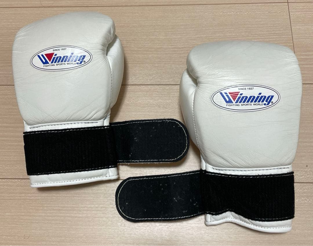 ボクシング ポスター 越本隆志vsルディ・ロペス 2006.7.30｜ボクシング