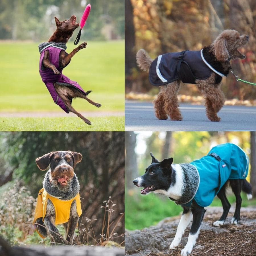 ポムッパ ペルス ペトロール サイズ60 - メルカリ