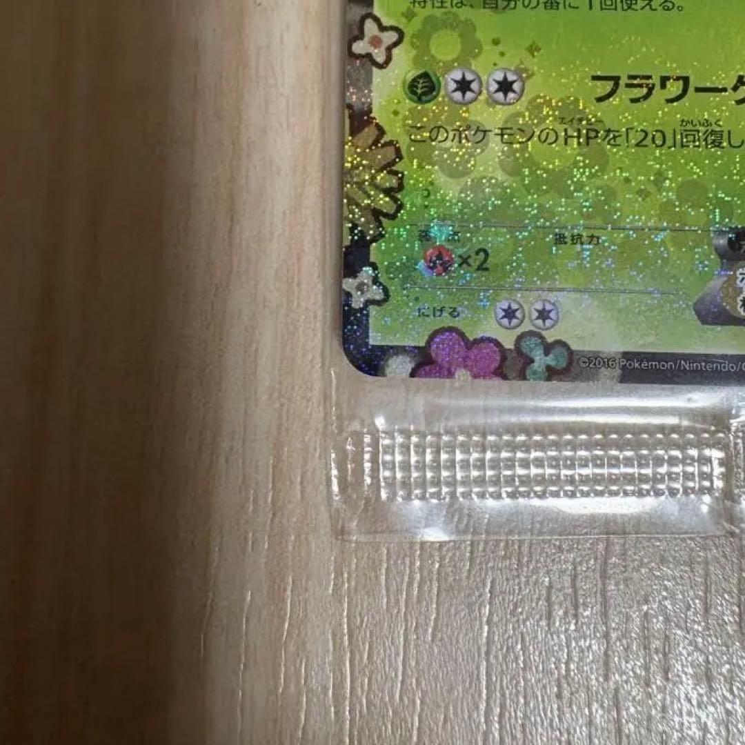 【満額査定品】ポケモンカード　シェイミEX　プロモ　ポケキュンコレクション