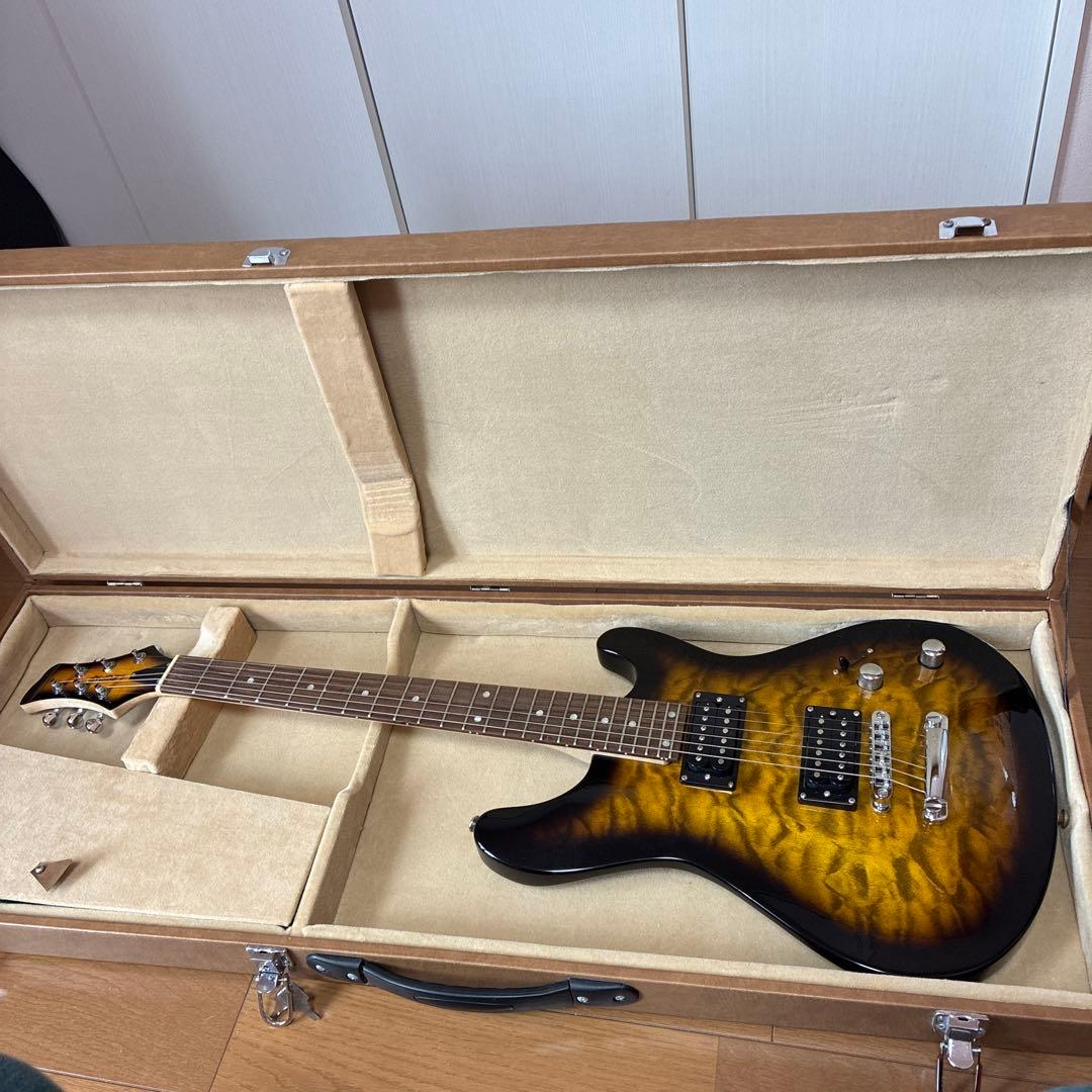 専用ハードケース付エレキギター Amazon.co.jp: AW エレキギター ハードケース レスポールギター