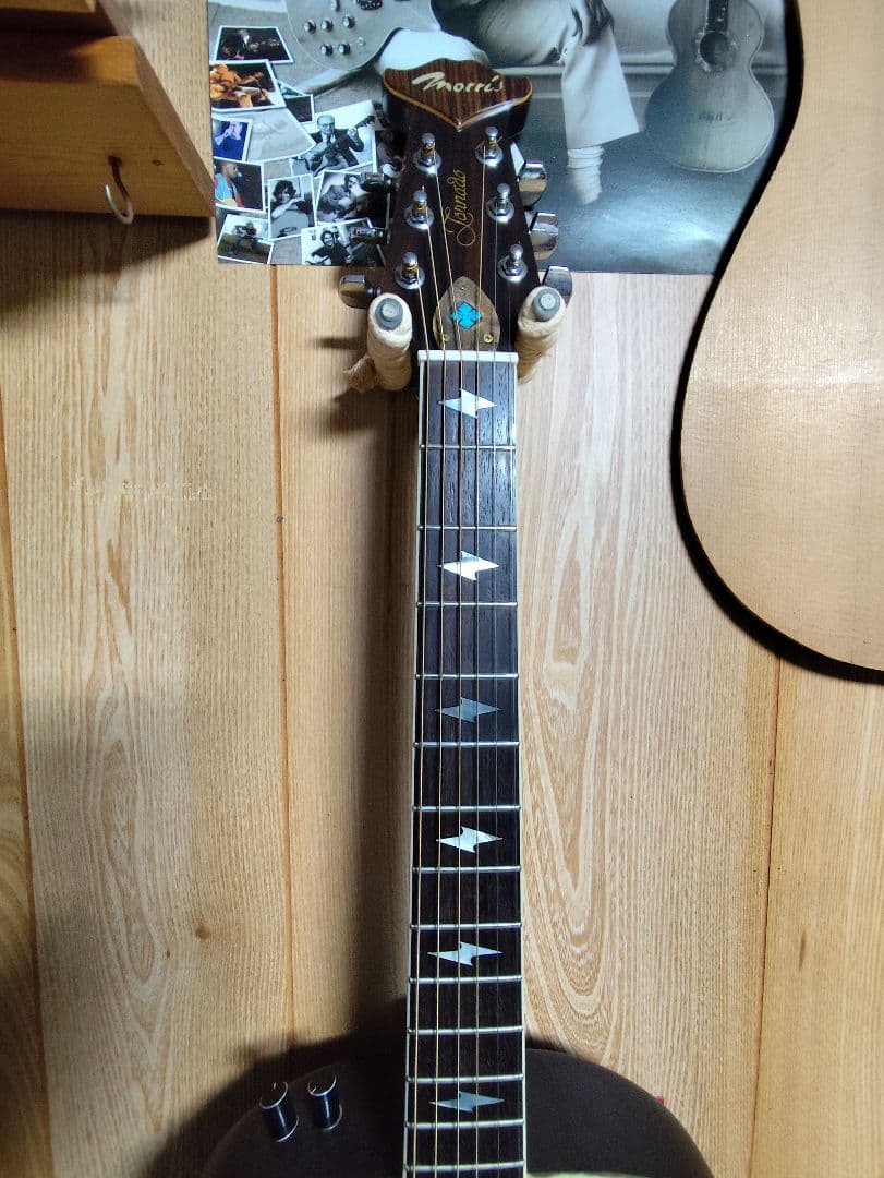 1981年Morris モーリストルネードXX トップ単板 シースルーレッド