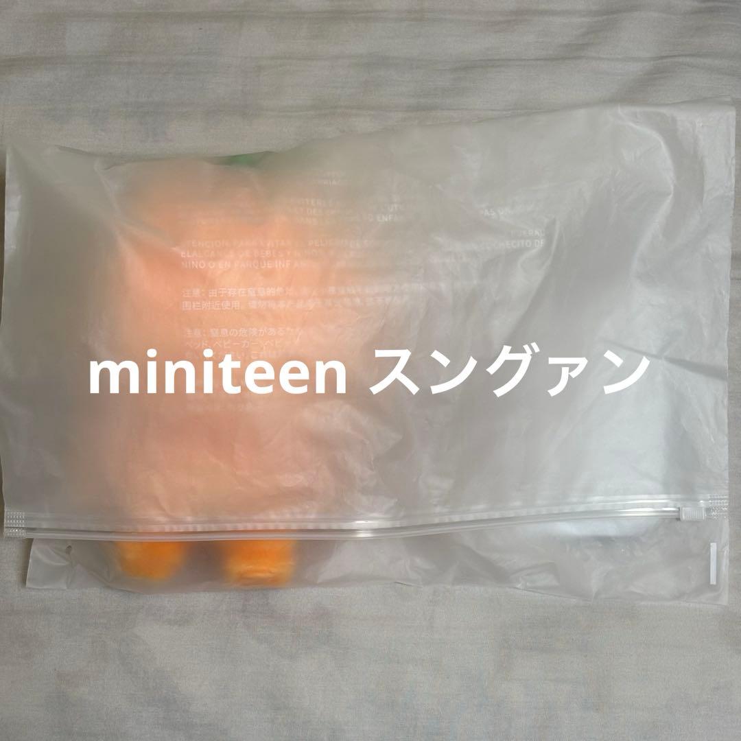 SEVENTEEN MINITEEN プギュリ ぬいぐるみ プラッシュトイ