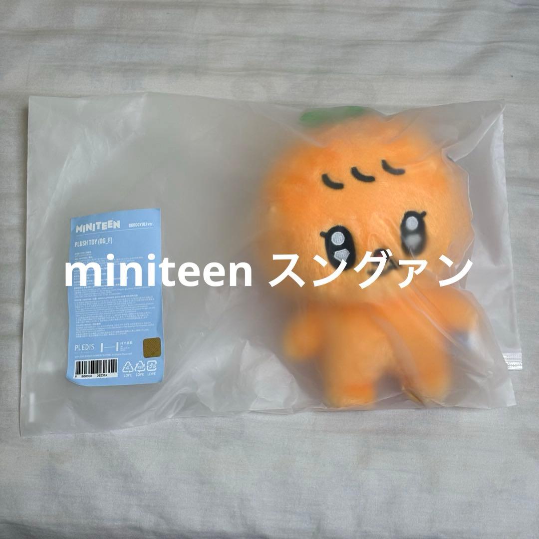 SEVENTEEN MINITEEN プギュリ ぬいぐるみ プラッシュトイ