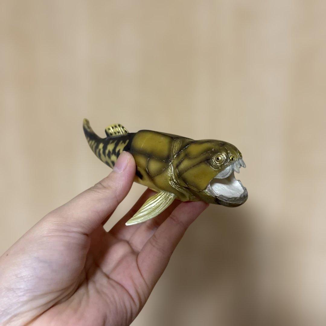 フクロウナギ　Pelican Eei フィギュア　サファリ社　全長23㎝　深海魚