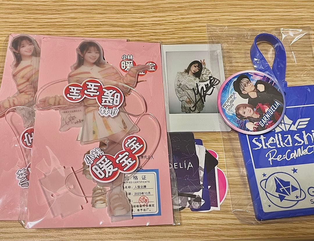 GARNiDELiA サイン入りチェキ