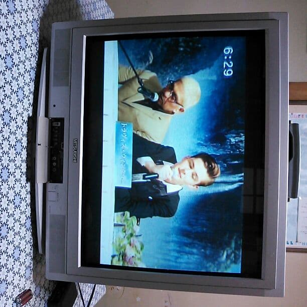 三菱29型 平面ブラウン管TV 2002年製 形名29T-D101S - メルカリ