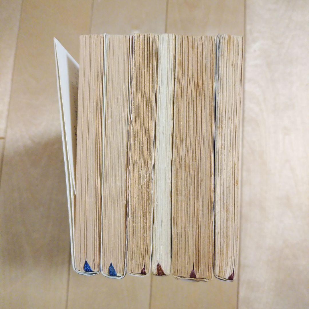 ドストエフスキー 19冊セット 罪と罰、未成年、悪霊、カラマーゾフの