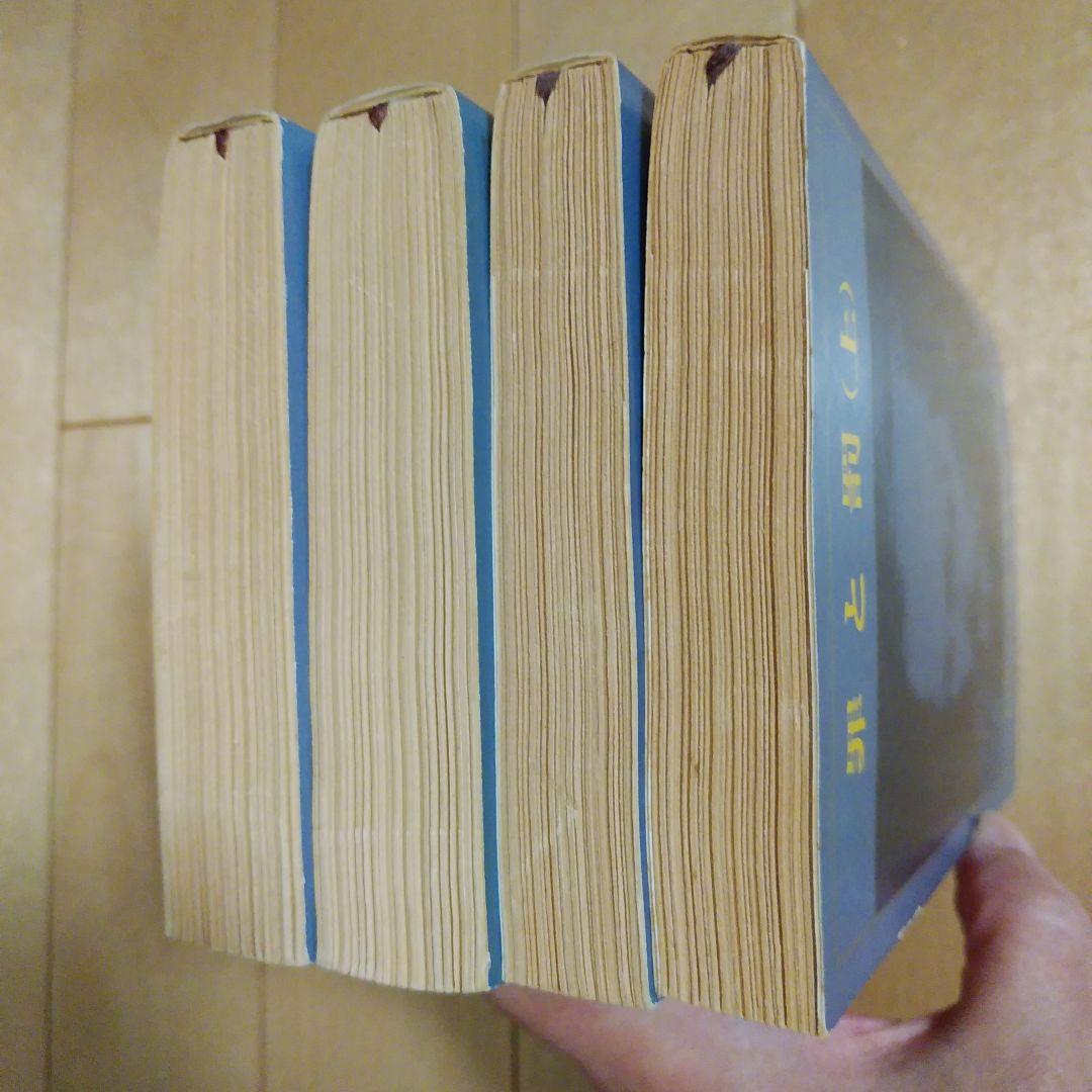 ドストエフスキー 19冊セット 罪と罰、未成年、悪霊、カラマーゾフの