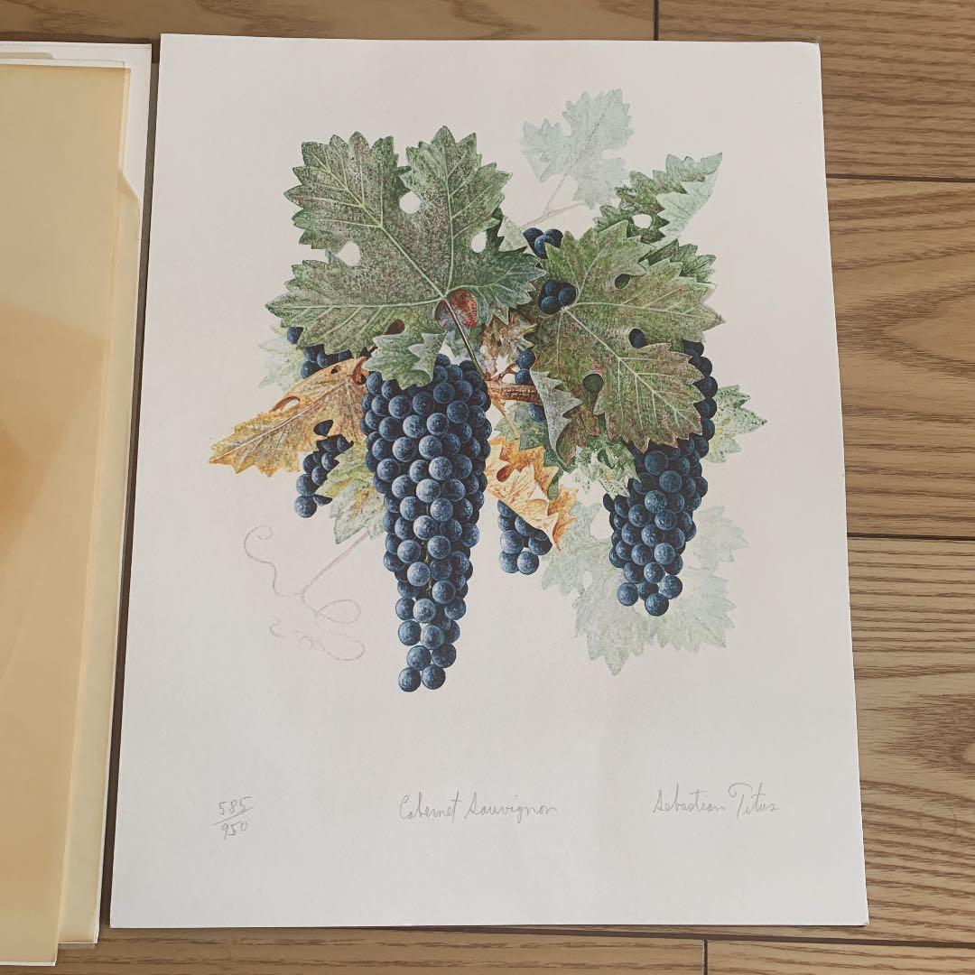セバスチャン タイタス Sebastian Titus 葡萄リトグラフ　希少品
