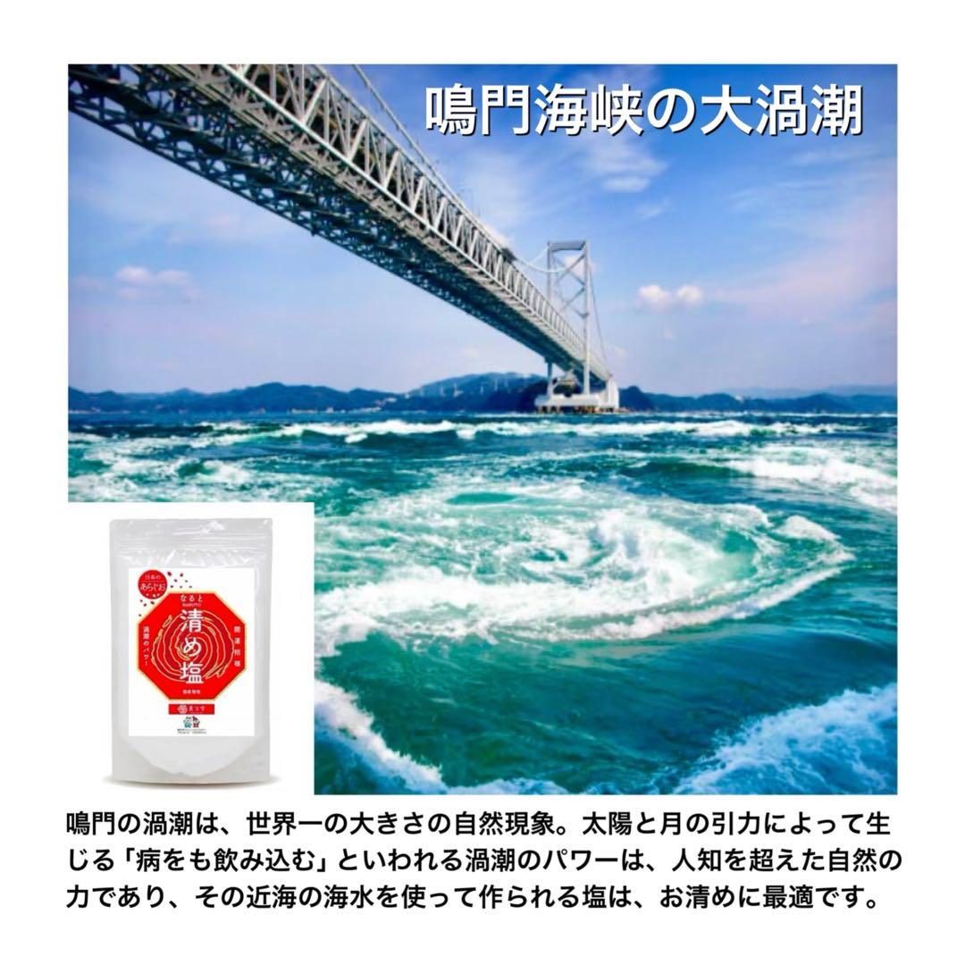 クーちゃん様専用 特大4個 (八角皿4枚付き)インカ2個 モリオン