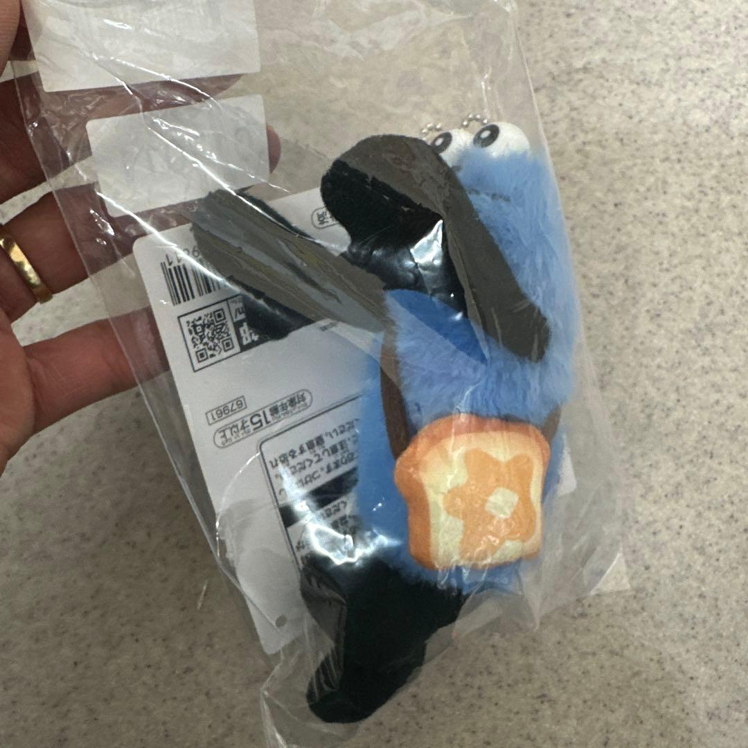 S.WATANABE 木製マンドリン 本体とケース付き 石浜ゆき氏為謹作