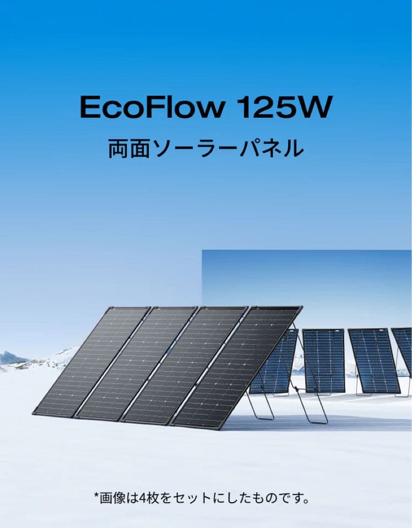 新品•未開封】EcoFlow 125W x 2 バイファイシャルソーラーパネル