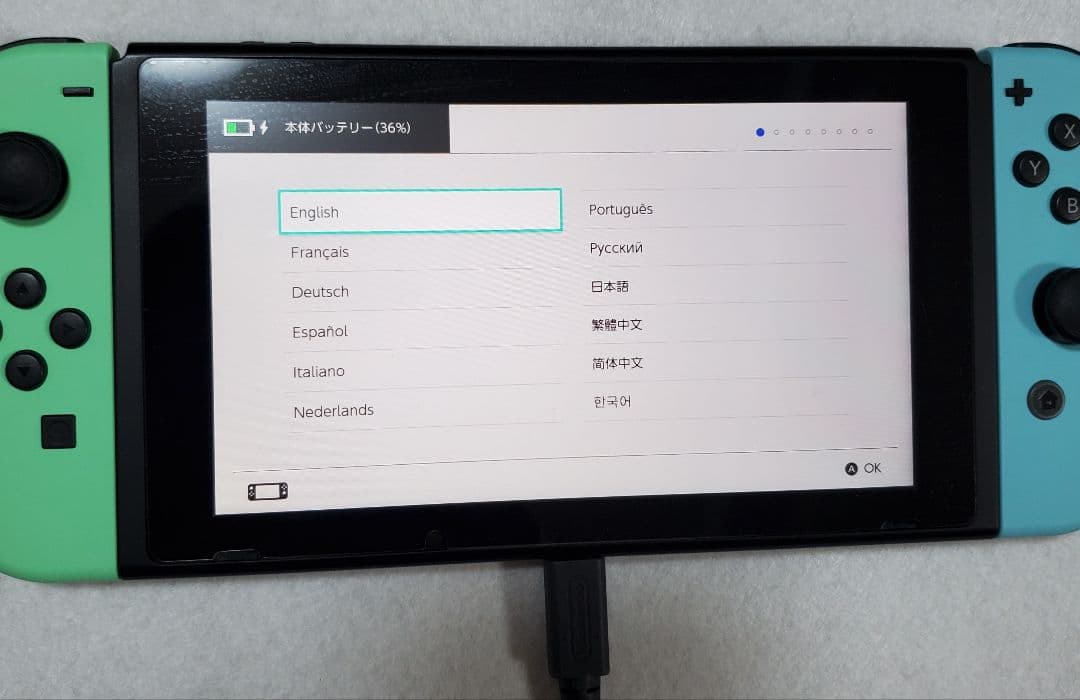 あつまれ どうぶつの森セット Nintendo Switch　ケース付き