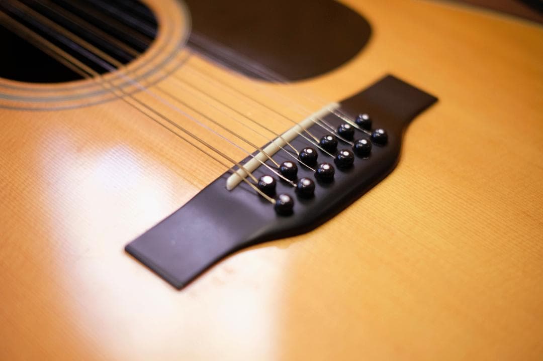 カポ SHUBB C3 (12弦)クリップ式 モーリス B-25 12弦 アコースティック