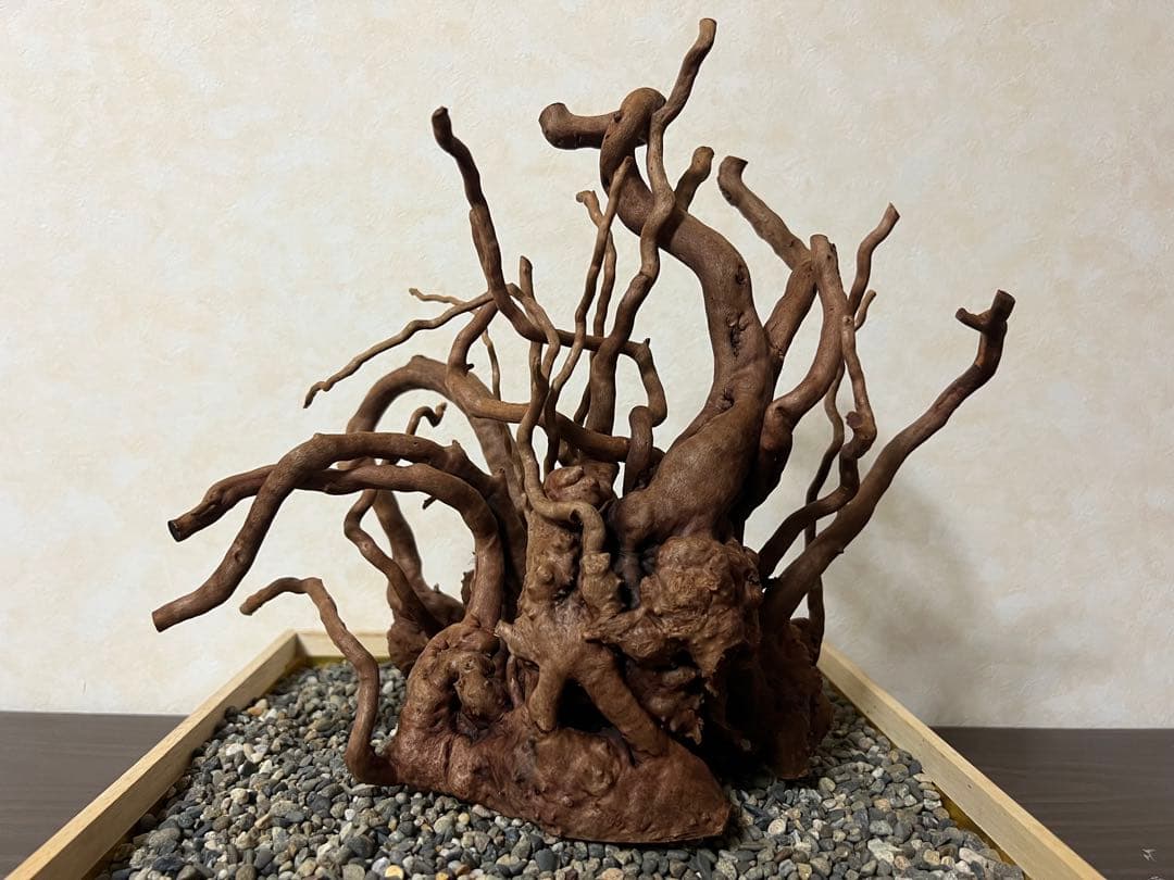 10936 ブランチウッド 流木 アクアリウム 沈水確認済 A-STYLE ブランチ