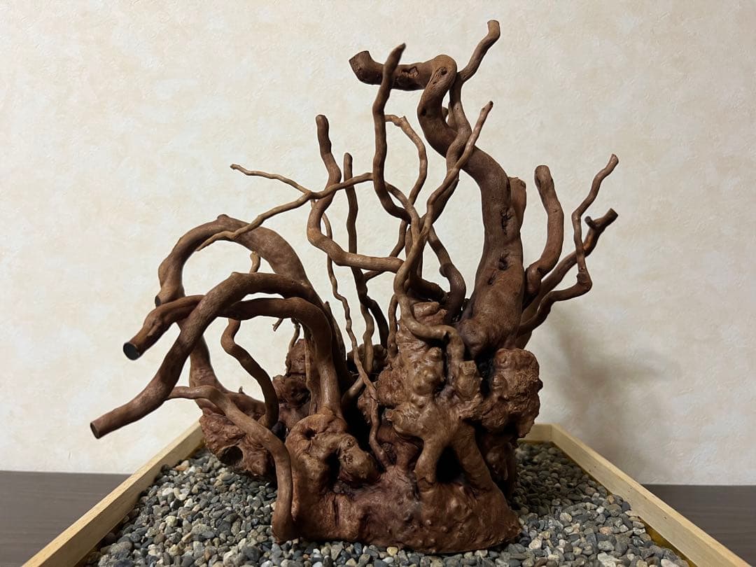 10936 ブランチウッド 流木 アクアリウム 沈水確認済 71121 ブランチ